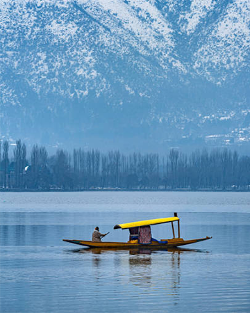 Kashmir